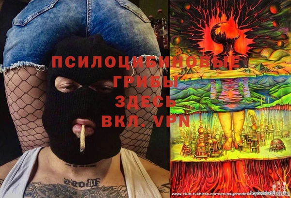 первитин Армянск