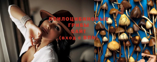 круглые Осташков
